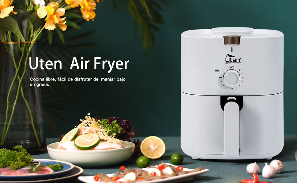 Amazon.com: 4.2 Quart Compact Air Fryer,4L 1500W Air Fryer Oven